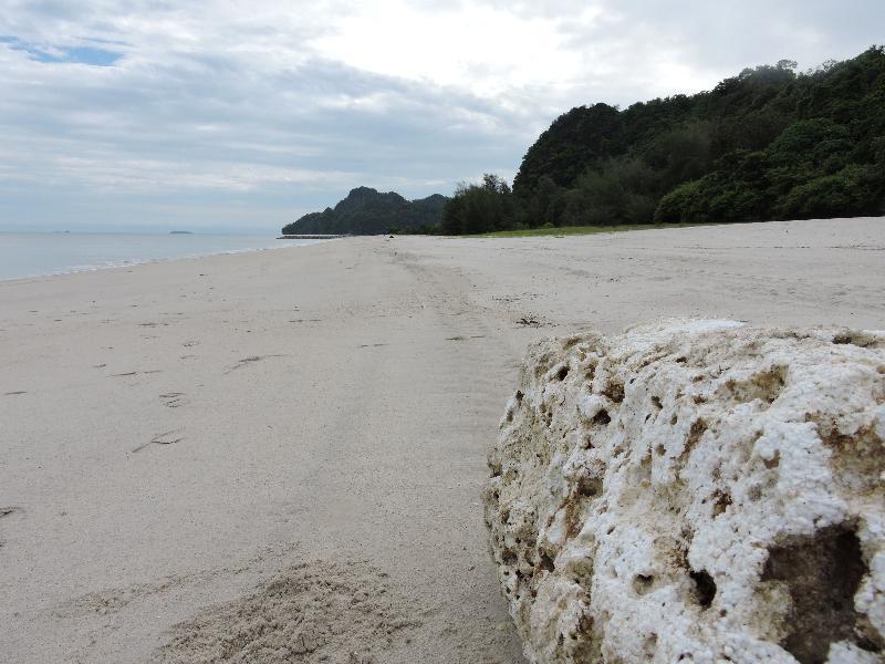 Lone Pine, Penang, A Tribute Portfolio Resort Batu Ferringhi Zewnętrze zdjęcie